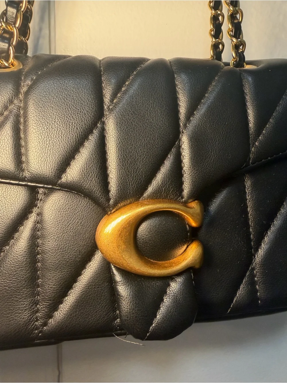 Coach Tabby Bag